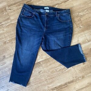 Lane Bryant Magic Waistband Jeans